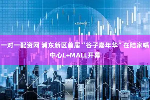 一对一配资网 浦东新区首届“谷子嘉年华”在陆家嘴中心L+MALL开幕