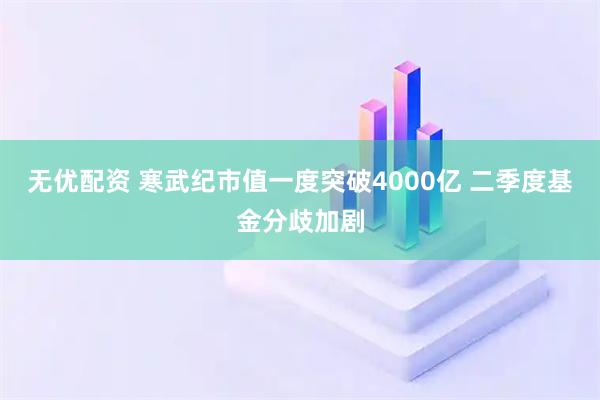 无优配资 寒武纪市值一度突破4000亿 二季度基金分歧加剧