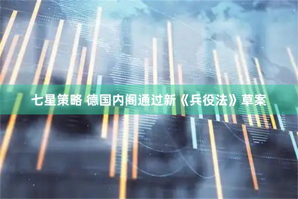 七星策略 德国内阁通过新《兵役法》草案