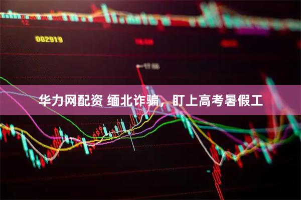 华力网配资 缅北诈骗，盯上高考暑假工