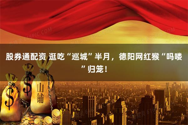 股券通配资 逛吃“巡城”半月，德阳网红猴“吗喽”归笼！