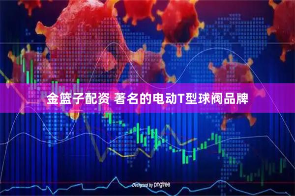金篮子配资 著名的电动T型球阀品牌