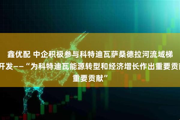 鑫优配 中企积极参与科特迪瓦萨桑德拉河流域梯级开发——“为科特迪瓦能源转型和经济增长作出重要贡献”