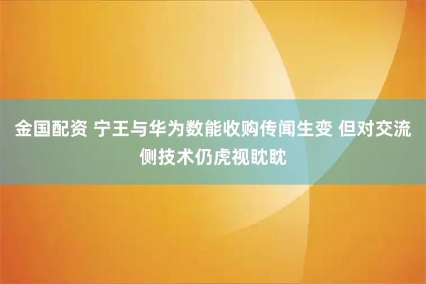 金国配资 宁王与华为数能收购传闻生变 但对交流侧技术仍虎视眈眈